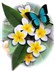 In Memory of Kristen Elise Griffiths